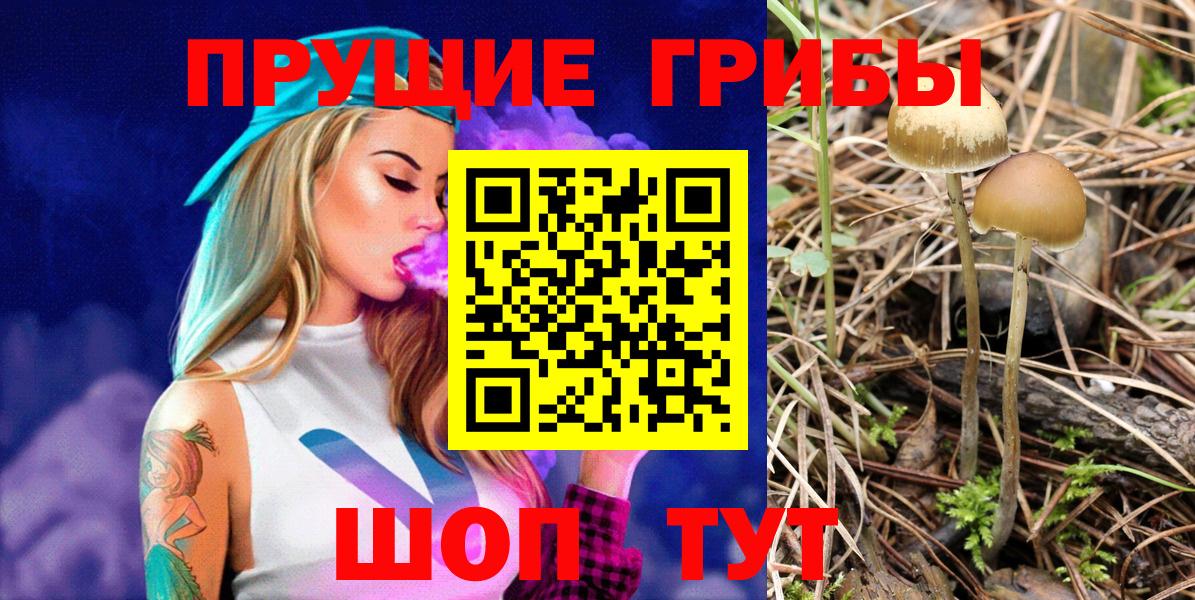 Малоярославец  Галлюциногенные грибы мухоморы  Вход с VPN  Псилоцибиновые грибы MAGIC MUSHROOMS 