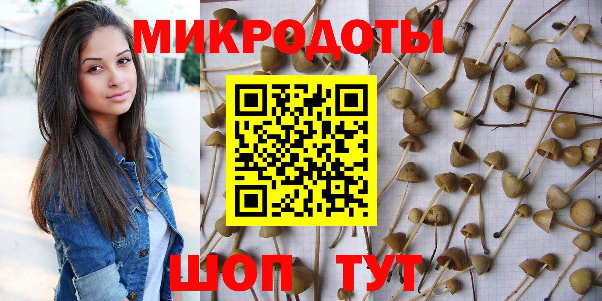 Псилоцибиновые грибы MAGIC MUSHROOMS Малоярославец